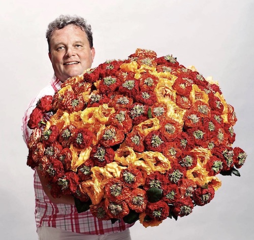 jan de boer with olij roses